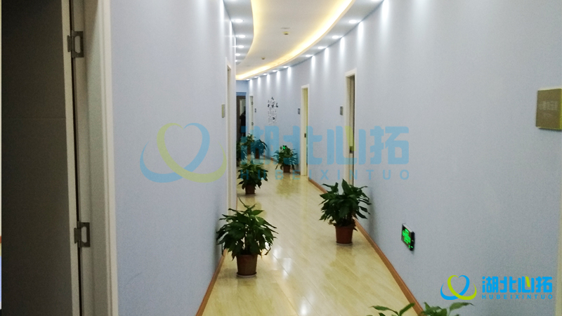 武漢傳媒學(xué)院心理咨詢中心