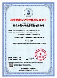 職業(yè)健康安全管理體系認證證書